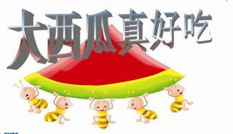 ppt吃瓜感受,一场视觉与味蕾的盛宴