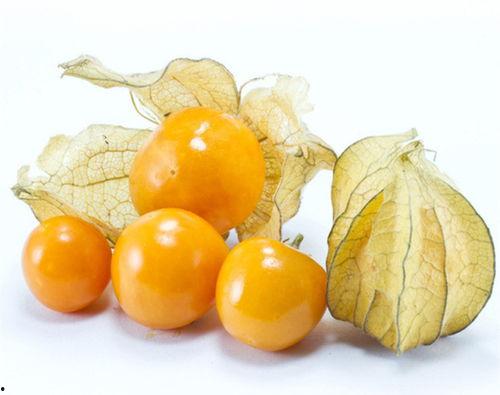 吃瓜姑娘,网络红人的崛起与影响力