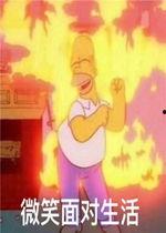 疯狂的吃瓜特效,揭秘疯狂吃瓜特效背后的秘密