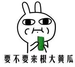 吃瓜就是苦,品味苦涩，洞察世间百态