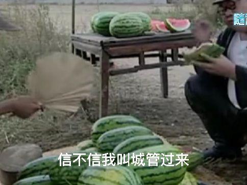 吃瓜遇见全集,一场跨越时空的奇幻冒险之旅