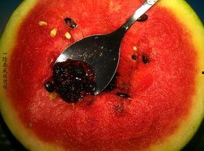 带你吃瓜奇葩厨具,带你探索那些“带你吃瓜”的奇葩厨具