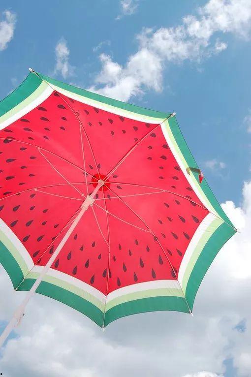 伞重要点 吃瓜,揭秘生活百态