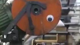 damn俱乐部吃瓜,一场吃瓜盛宴背后的真相