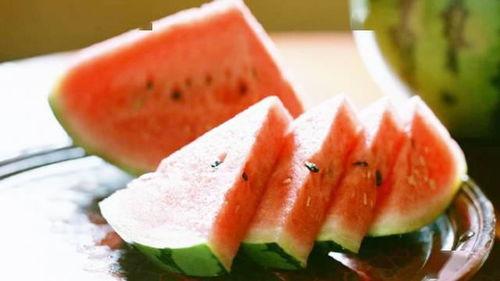 石家庄吃瓜大会