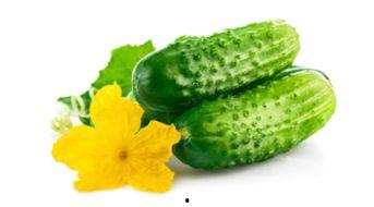 吃生瓜可以减肥吗