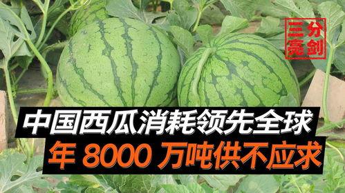 中国民众吃瓜,揭秘网络舆论场中的娱乐与真相